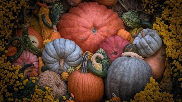 SCADENZARIO DI NOVEMBRE